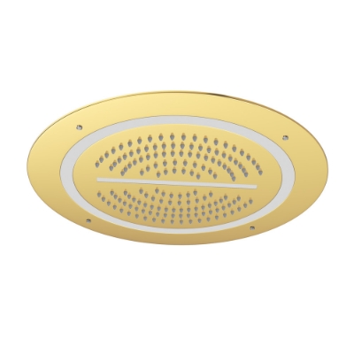 Picture of Duoflo Shower Round Shape - Gold Bright PVD
