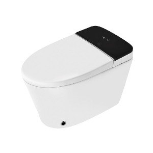 Picture of Fully Automatic Rimless Floor Mounted WC - White