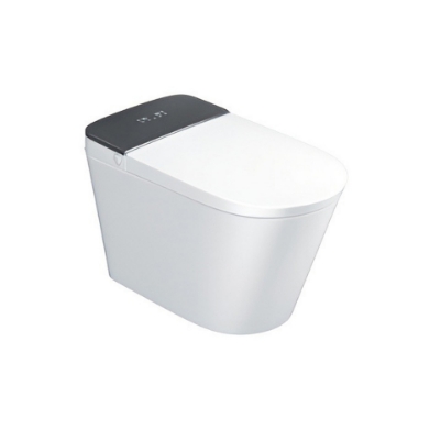 Picture of Automatic Rimless Floor Mounted WC