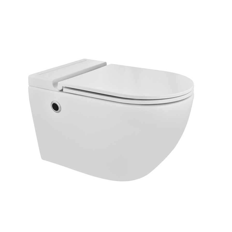 Picture of Tankless Wall Hung WC