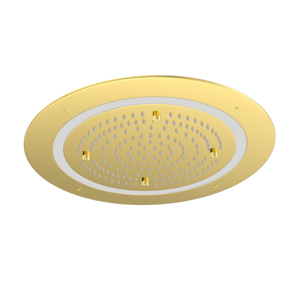Picture of Duoflo Shower Round Shape - Gold Bright PVD