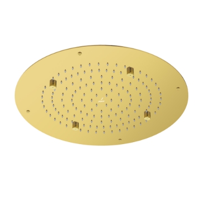 Picture of Duoflo Shower Round Shape - Gold Bright PVD