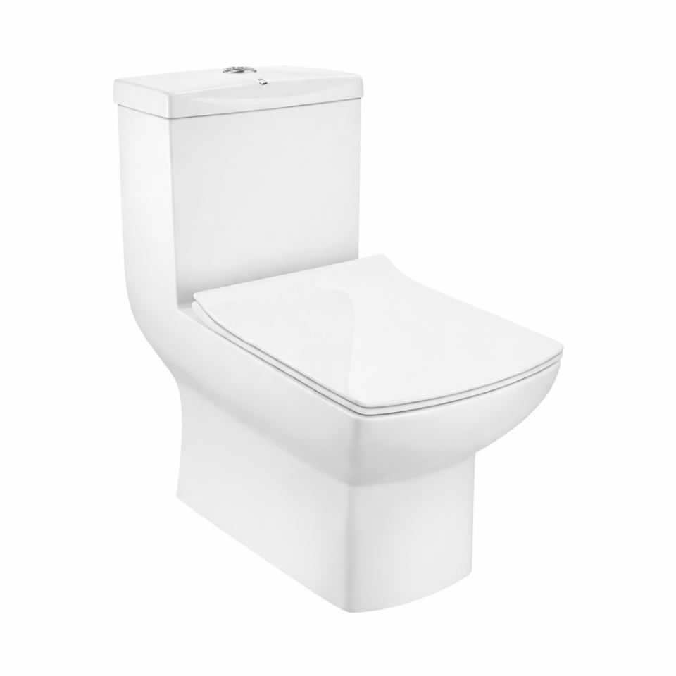 Picture of Rimless Single Piece WC